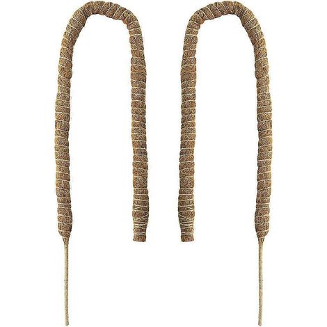 2 tuteurs pliables en fibre de coco de 60 cm (24 pouces) pour plantes grimpantes Monstera. (1/5)
