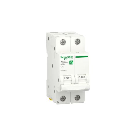 Interruttore 1P + N 10A HOUSING Schneider 12508 (1/2)