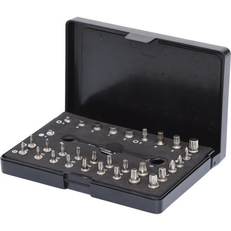 Juego de micro-puntas KS Tools 32 piezas Níquel (1/4)