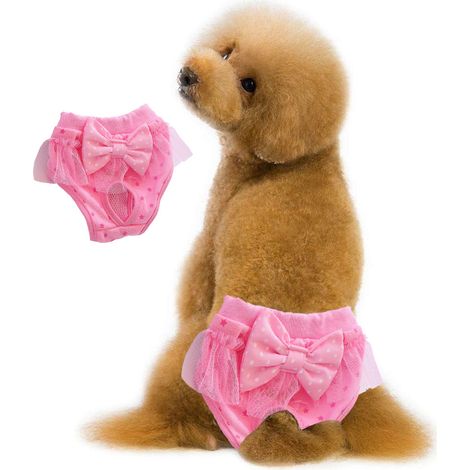 Culotte physiologique pour chien Bow Culotte physiologique pour animaux Culotte menstruelle princesse en dentelle