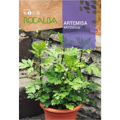 Rokalba Artemisa Taschen Samen 1G