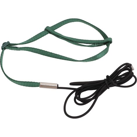 Harnais pour oiseaux, laisse élastique réglable, entraînement au vol, corde de Traction pour perroquet, calopsitte, Lovebird, vert S (1/5)