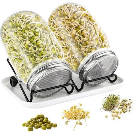 Juego de 2 frascos de vidrio para germinación. Incluye 2 frascos de vidrio de 750 ml,750 ml,acero (1/5)