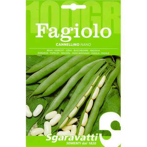 SEMI PER FAGIOLI fagiolo nano cannellino - gr 100 Q.TA 5 fagiolo nano cannellino - gr 100