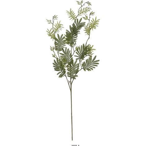 Branche de Mimosa artificiel artificiel H 105cm D 40 cm (1/3)