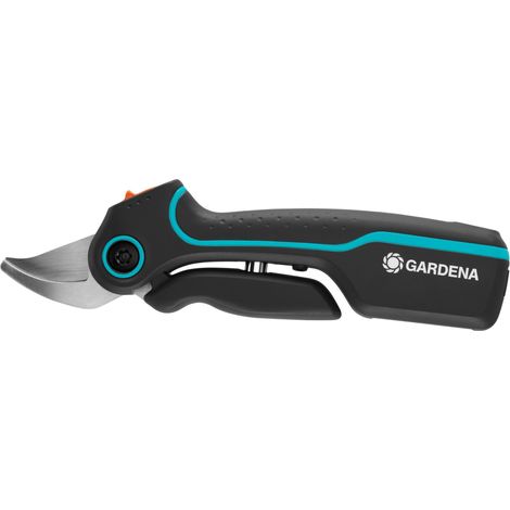 Sécateur sans Fil avec Un Diamètre de Coupe de 25 mm, pour Couper Facilement et sans Effort Les Branches, Les Jeunes Pousses et Les Fleurs, avec Câble de Recharge USB-C (1/5)