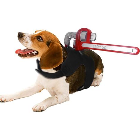 Costume d'Halloween pour animaux de compagnie : gilet ensanglanté avec couteau pour chiens et chats, accessoire de cosplay horrifique, taille M (1/4)
