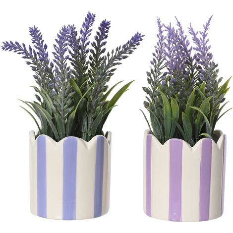 LAVANDA D.7XH18CM CON VASO IN PORCELLANA A RIGHE (1/2)