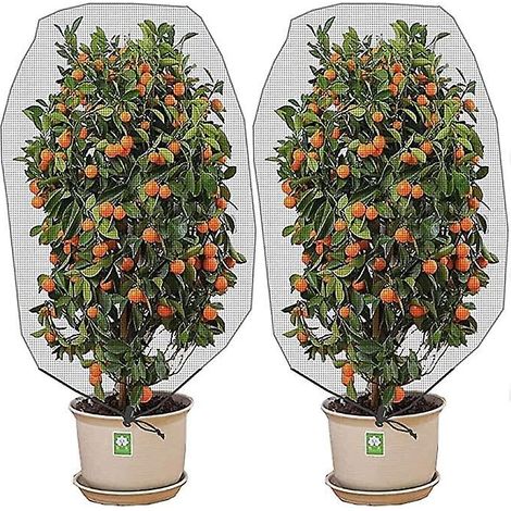 filet Anti-insectes Avec Cordon De Serrage (1,5 1 M, 2 Pices) - Couverture Vgtale En Filet Anti-insectes De Jardin, Utilise Pour Protger Les Pla (1/5)
