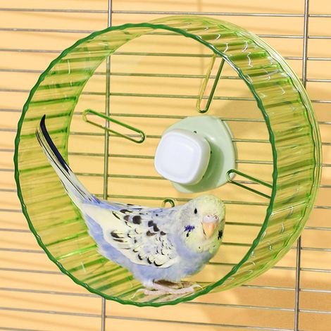 6.8-inch Parrot Silent Running Wheel, Parrot Exercise Wheel, Birds, Parrots, Turtles, Hamsters, Small Animal Quiet Running Wheel (Green) (1/5)