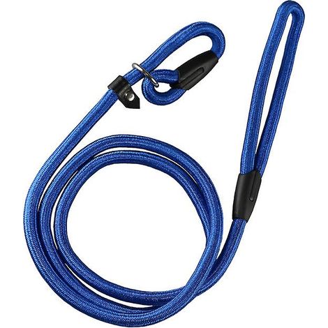 Laisse réglable en nylon avec boucle antidérapante pour la promenade et l'éducation canine, bleue (1/5)