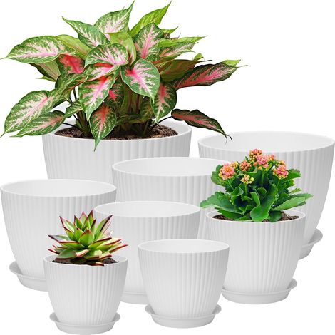 8 Pcs Pots de Fleurs pour Plantes d'Intérieur, Fleurs, Cactus Rond Pot de Plantes,Plant Pot avec Avec Trou, Soucoupes,Convient aux Jardins de Balcon Intérieurs, Cactus-Blanc (1/5)