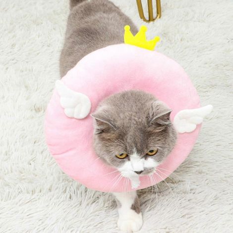 Collier conique ajustable pour chat, collier de convalescence post-opératoire pour chat, rose souple, taille XS (1/4)