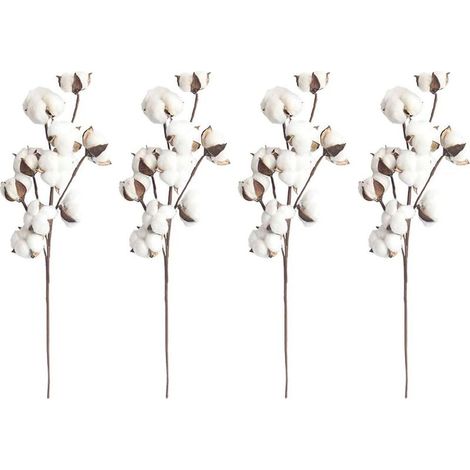 4 tiges de coton blanc naturel, 10 boutons-fleurs par tige, 53 cm, cueille-fleurs, style champêtre, décoration d'intérieur (1/5)