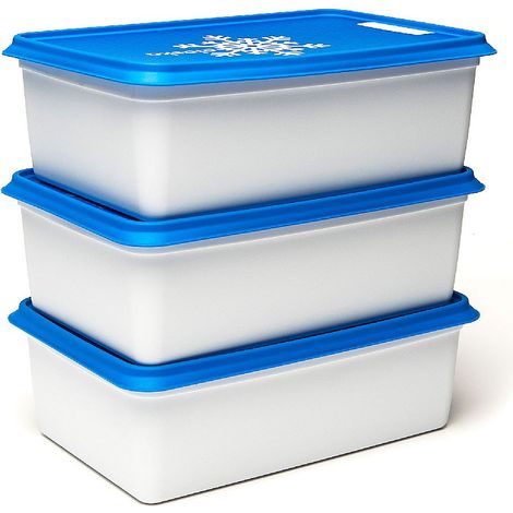 Contenitori per congelatore Alaska 3x2L / Amuse (1/3)