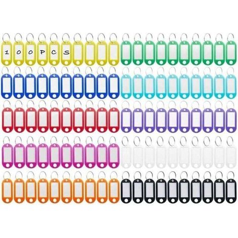 100 Pièces Porte-Clés, Étiquettes de Clé en Plastique, Inscriptibles Porte Clef Couleur en 10 Couleurs, en étiquettes d'identification avec Porte-Clé, pour Clefs, Bagages ou bureau (1/4)