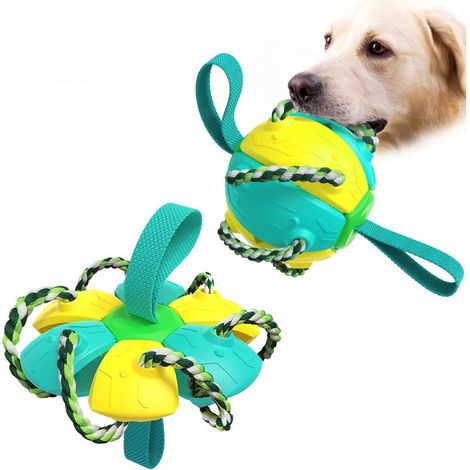Jouets pour chiens résistants, frisbees et ballons de football d'entraînement d'extérieur