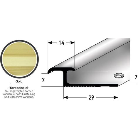 Einschubprofil "Leicester" für Laminat, 3 - 7 mm Einfasshöhe, Aluminium eloxiert, gebohrt-goldfarbig-1000-7
