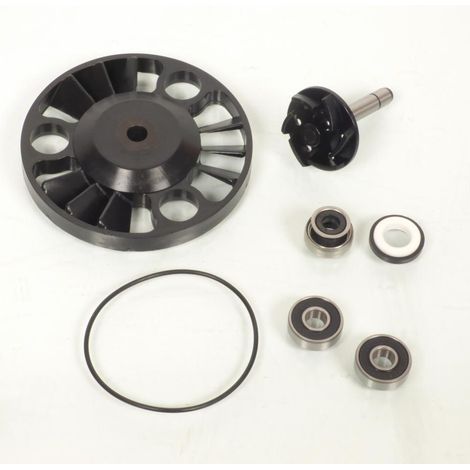 wasserpumpe p2r für roller piaggio 125 carnaby 2007 bis 2010 neu