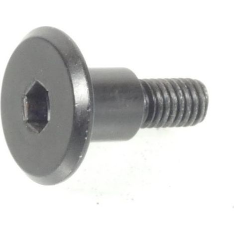 Passschraube M6x100 für Roller Suzuki 400 Burgman 2020 (1/5)