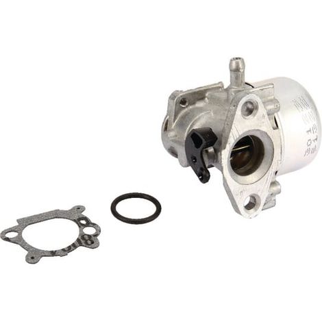 Carburateur BRIGGS ET STRATTON 799868 (1/3)