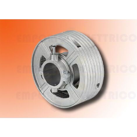 Paracadute Per Corona 240 Faac 391455 Automazione Automatismi Originale Garanzia (1/3)
