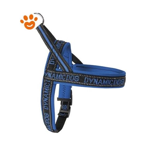 Camon Dog Pettorina Neoprene Dynamic - Blu - Accessori