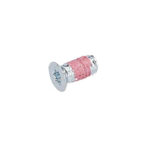 Vis a tete bombee torx pour Taille-Haie BOSCH OUTILLAGES - 2603421011