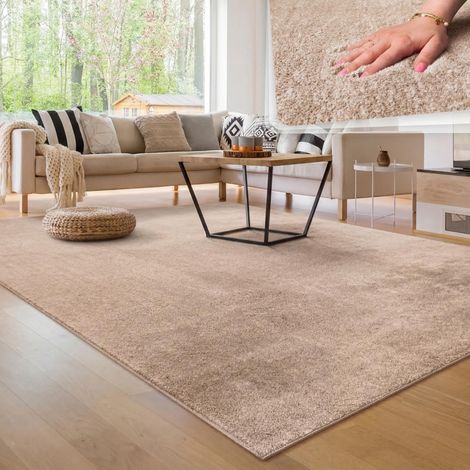 Tapis Salon Moelleux Ultra Doux à Poils Courts - Antidérapant, Lavable, Confort Idéal pour Salon et Chambre, Couleur:Beige, Dimension:120x160 cm (1/5)