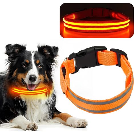 Collier Sécurité Nuit LED pour Chien – 3 Modes, Réglable Taille, USB Rechargeable, Lumineux (1/5)