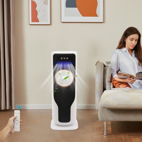 Refroidisseur d'Air, 2L Climatiseur Mobile sans Évacuation avec Chauffage et Refroidissement, Oscillation 180°, 3 Vitesses et Télécommande Climatiseur Noir Silencieux pour Bureau et Chambre (1/5)