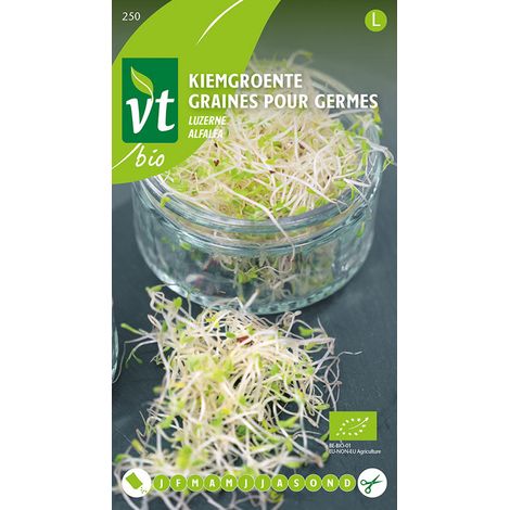 Graines Pour Germes Alfalfa - Ca. 16 gr (Livraison Gratuite)