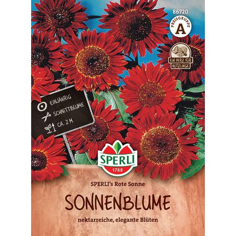 Sperli Sonnenblumen Rote Sonne rotbraun - Blumensamen (1/2)