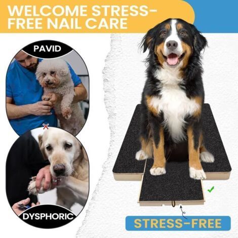 QORVA-Tampon à gratter pour pattes de chien - Lime à ongles pour animaux de compagnie, planche à découper, grattoir, tondeuse
