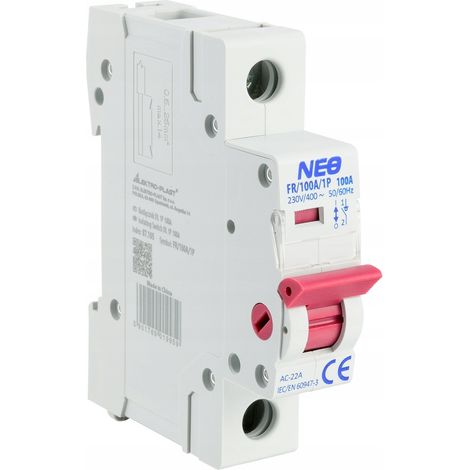 Interruttore sezionatore Elektro-Plast dl 1p 100a fr 100 A 250 V (1/2)