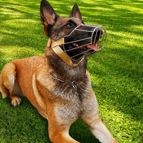 Muselière pour chien taille M, en métal, respirante et réglable, pour chiens moyens et grands de 15 à 30 kg. Empêche les morsures, les aboiements et les mâchonnements. (1/4)