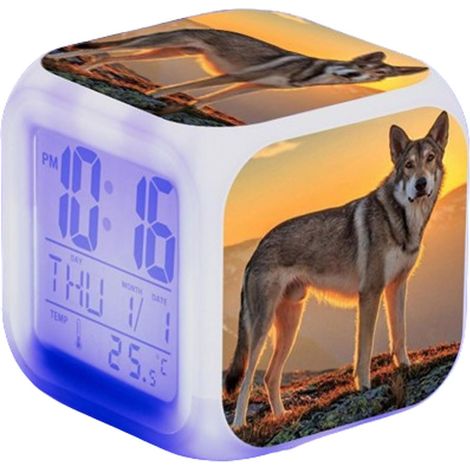 réveil Horloge de Chevet pour Enfants avec Lumière Snooze (1/5)