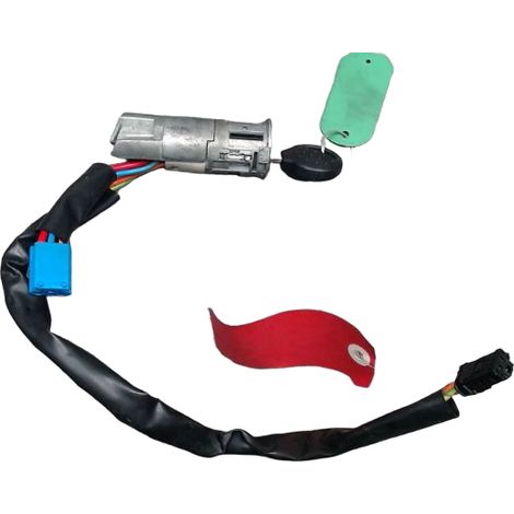Antivol De Direction PEUGEOT 206 Cabriolet Essence [PRODUIT D'OCCASION]♻️4162z1 (1/4)