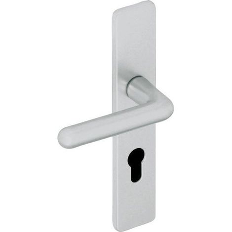 Set de Poignée de Porte sur Grande Plaque - Version Bec de Cane - Porte Cuisine et Salon - Entraxe 195 mm - Système de Pose Facile - Aluminium anodisé Argent