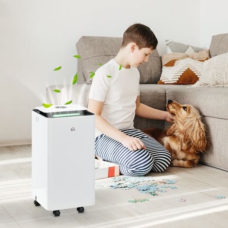 Déshumidificateur électrique 10 L/jour, réservoir d'eau de 2,5 L, 5 modes, 2 vitesses, minuterie, 25 x 25 x 50,5 cm, blanc (1/5)