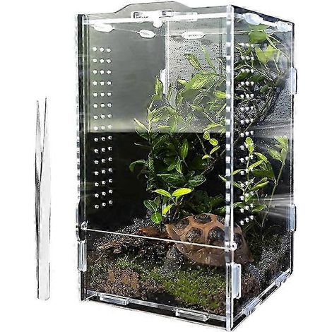 Enclos pour araignées sauteuses, grand enclos en acrylique pour araignées-loups, terrarium pour araignées sauteuses (1/5)