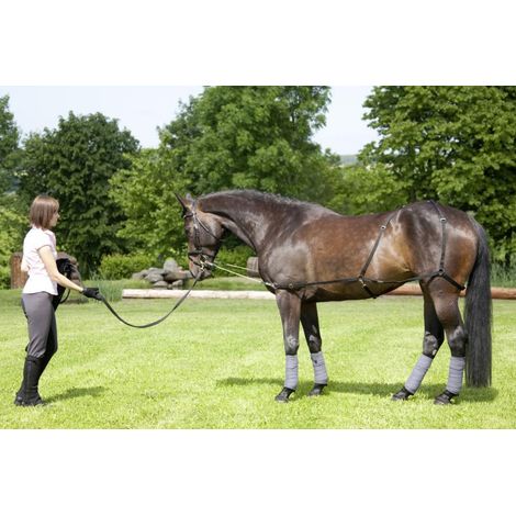 USG Longier/Trainingssystem Pony/Vollblu t
