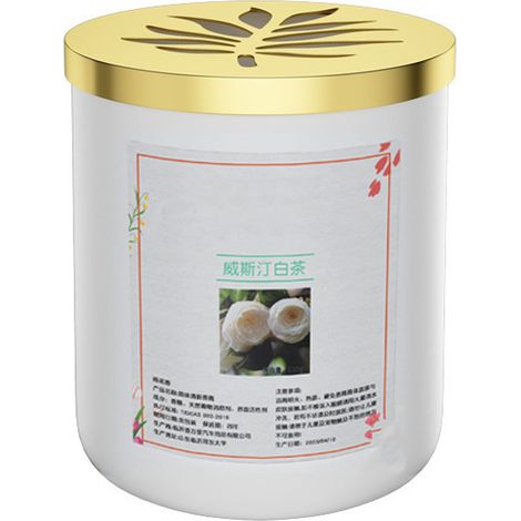 Westin Thé Blanc 9658B Baume Désodorisant Voiture - Parfum Longue Durée Anti-Odeur Anti-Stress Aromathérapie pour Maison Bureau (1/5)