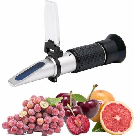 Réfractomètre Brix 0-40% Alcool 0-25% ATC Portable - Mesure la Teneur en Sucre pour Vin, Bière, Fruit, Vinification (1/2)