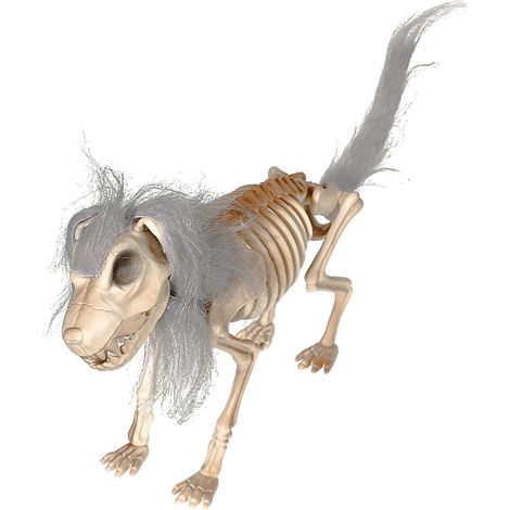 Hund lebensechte bewegliche Gliedmaßen Tiermodell