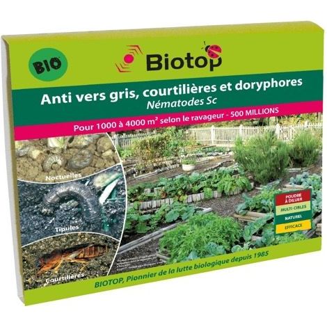 Nématodes SC anti vers gris et doryphores 500M - 1 000m² (1/2)