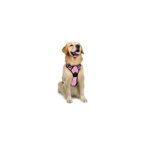 Harnais chien anti-traction rose L, gilet réfléchissant réglable, attache devant, pour chien grand taille, American Staff, Border Collie, randonnée, voiture – (1/5)