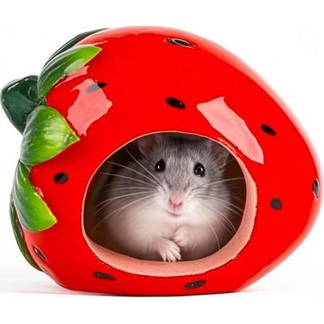 Casetta per criceti a forma di fragola, graziosa casetta in ceramica cava, rifugio per piccoli animali, per criceti, 12 x 9 x 9 cm (1/5)