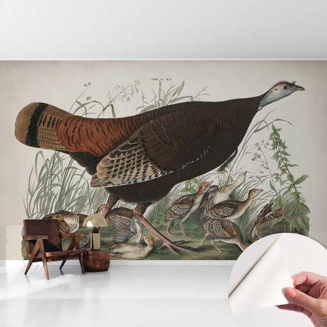 Fotomurale adesivo stickers - murali decorativo - soggiorno moderno - effetto realistico - Armonia naturale 416x254 cm (1/5)