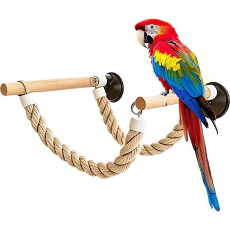 Perchoir Oiseau Fenêtre Support Repos Ventouse Oiseau Vitre (1/5)